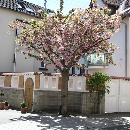 Apartment Fewo Lauda Lauda-Koenigshofen